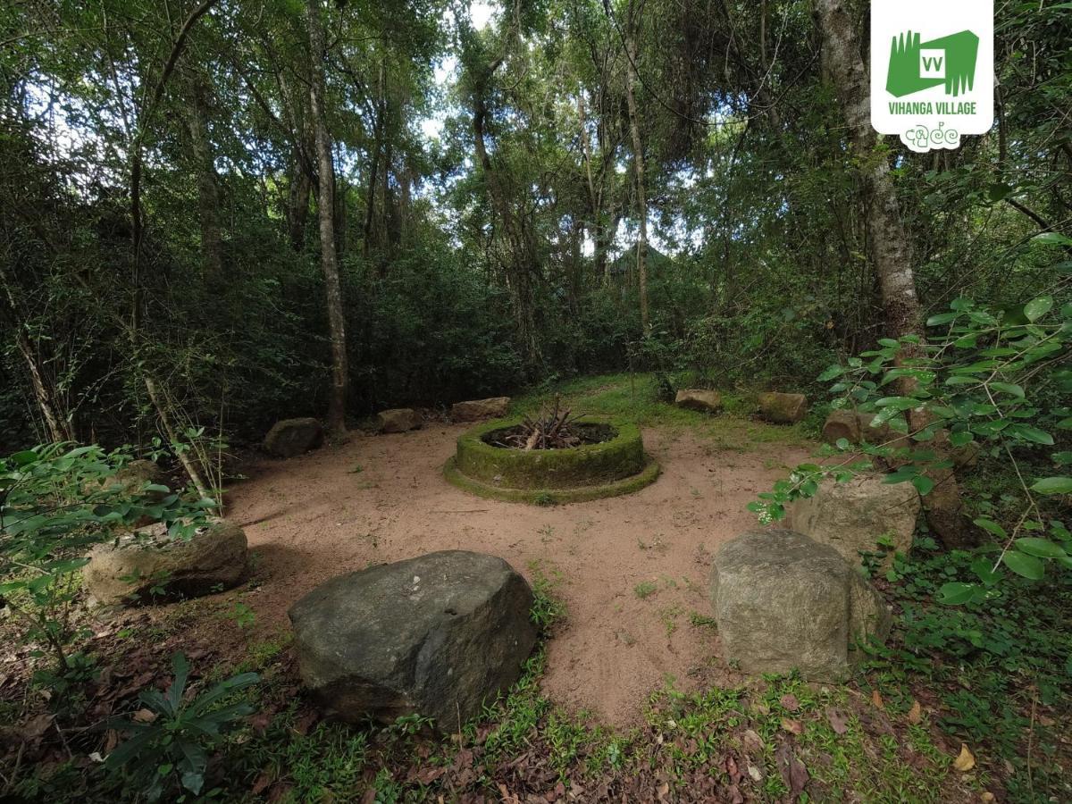 Vihanga Village - Jungle Retreat In دامبولا المظهر الخارجي الصورة