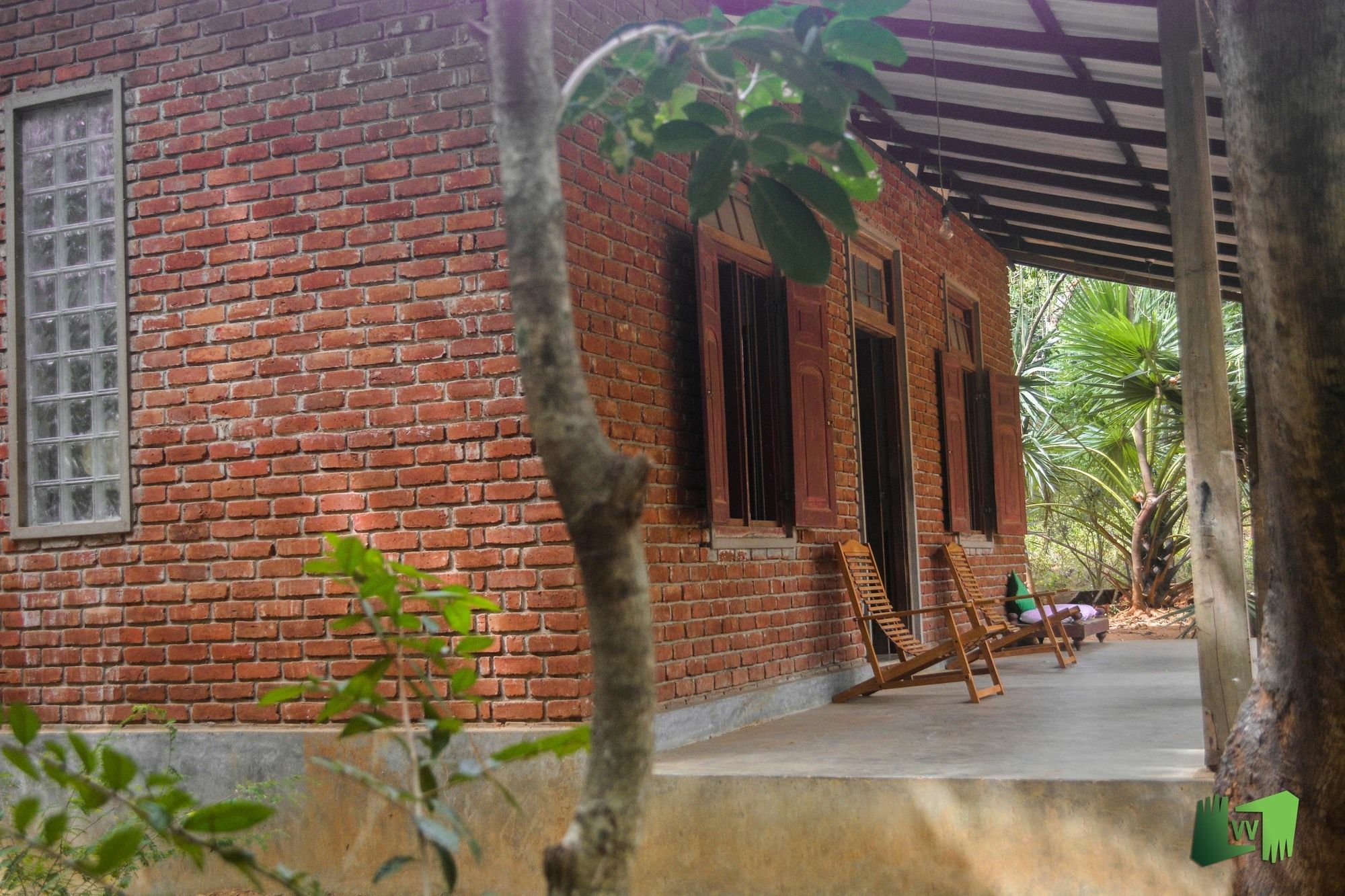 Vihanga Village - Jungle Retreat In دامبولا المظهر الخارجي الصورة